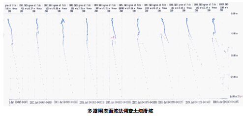 多道瞬态面波法调查土坝滑坡